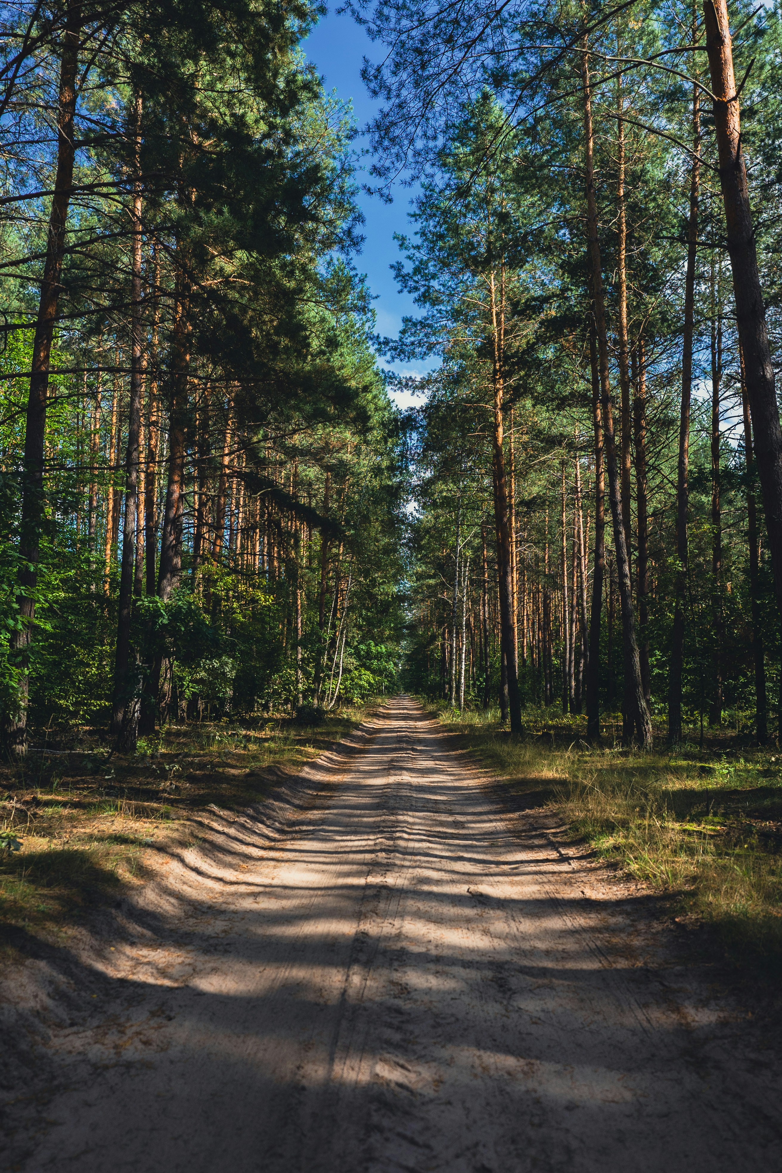 A road with proper crown for drainage